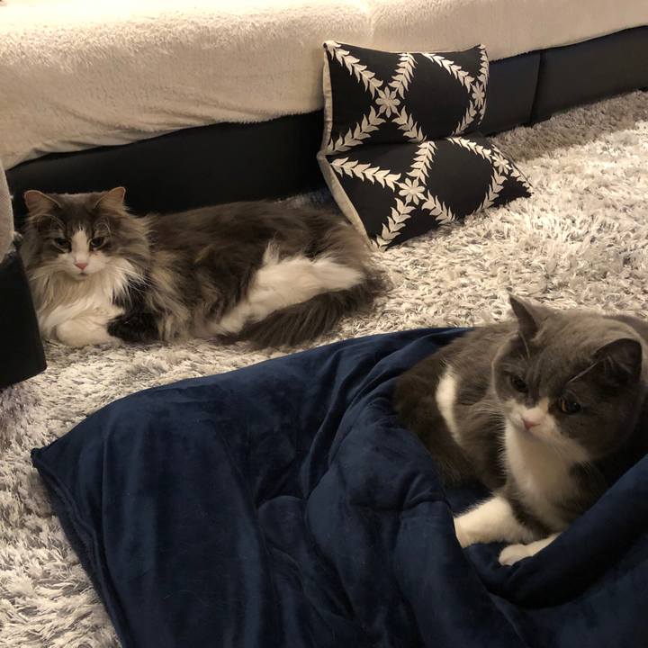 0d2dc958 4c7d 4a09 87b3 f8346de7ee6e 1550547490668