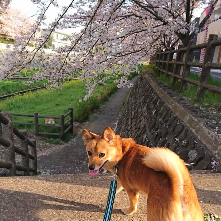 0d2dfe36 bcfb 4d9a a2d8 7ee75c80f51b 1522482682078