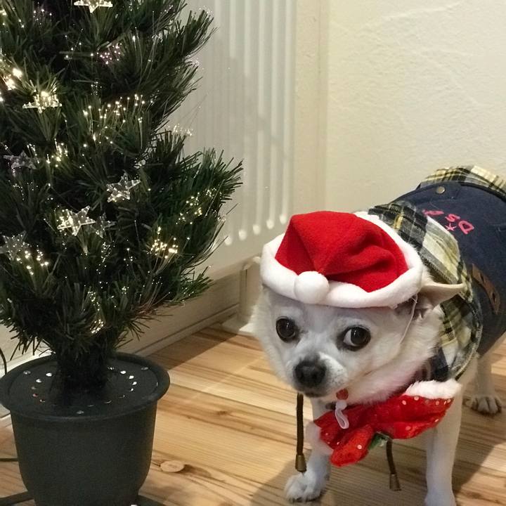 0d2e48ac 2eaa 4195 9329 6eed66de83ff 1577254361825