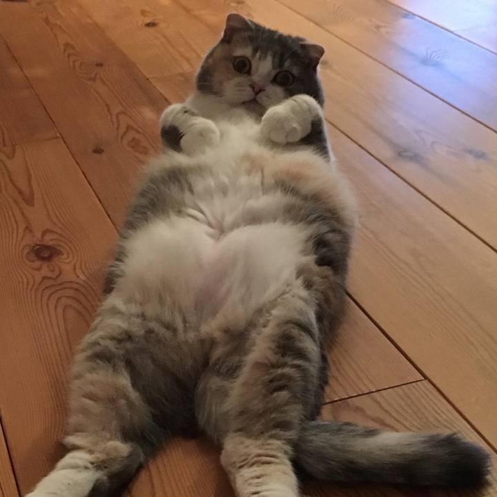 0d2e704d d9cb 4db3 9b64 029f2bcde4dd 1538570053462