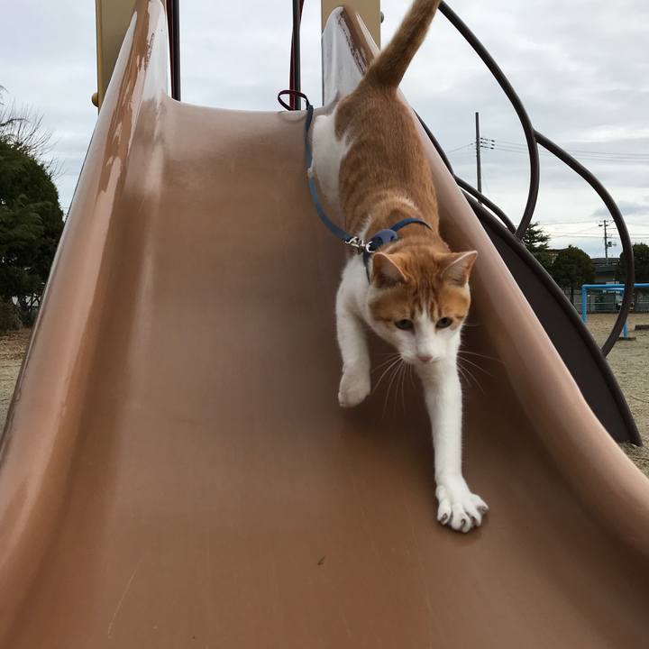 0d2e7282 a8fd 405c 82d8 9a84380aa269 1512703446548