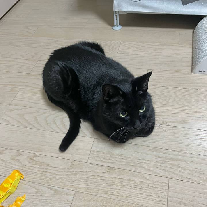 0d2e7b3b 5d80 47cc 9d58 97c22754f5d1 1702987250093