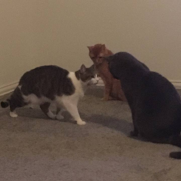 0d2e7ebe 5675 498b b0f1 42b3d680038a 1645499133801