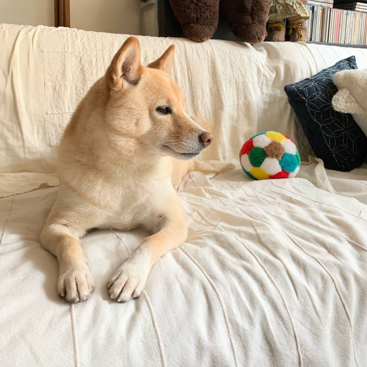 0d2e81cc e65e 418a 9374 90e7a3a674b0 1637468103974