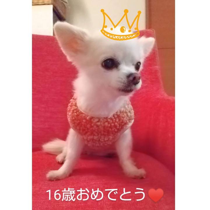 0d2e8291 55e6 4ede 8af7 0325153b750e 1680384780979