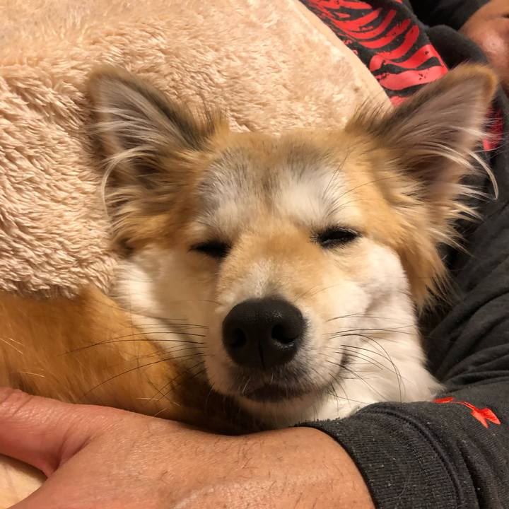 0d2ea084 769d 428f b53b 41a7904a66ef 1582194232418