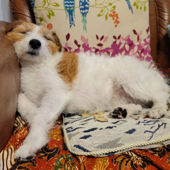 0d2eabb2 13c8 42a7 a816 2b7c167f593d 1680943856423