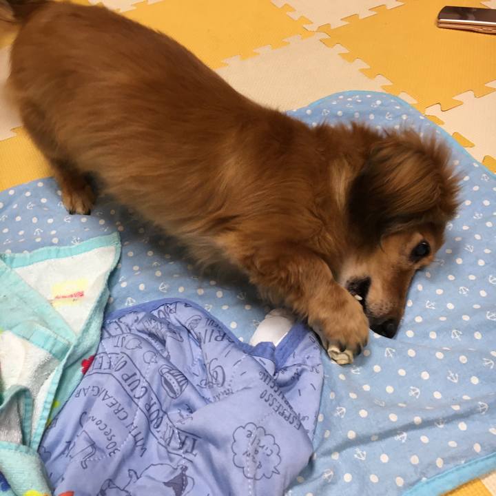 0d2ec73c 95f7 4cf6 a7be 8f56684d0eef 1593698274295