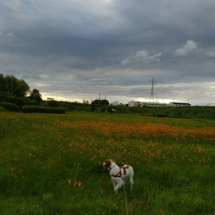 0d2edaa4 9582 4d65 9840 7582ec36e2b8 1530706457001