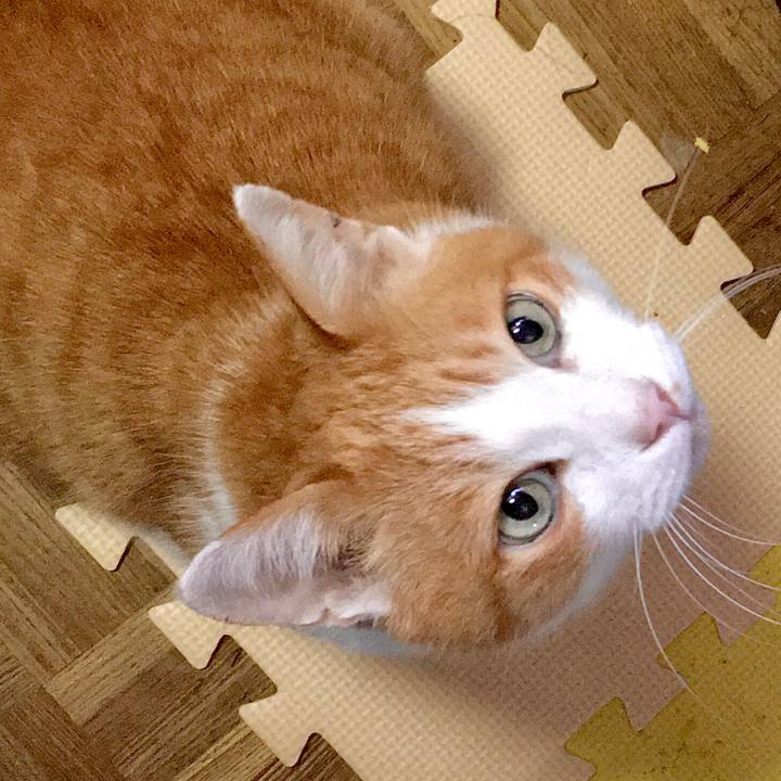 0d2ef7dc b5f5 4527 9338 222e1220c4e6 1578970244887