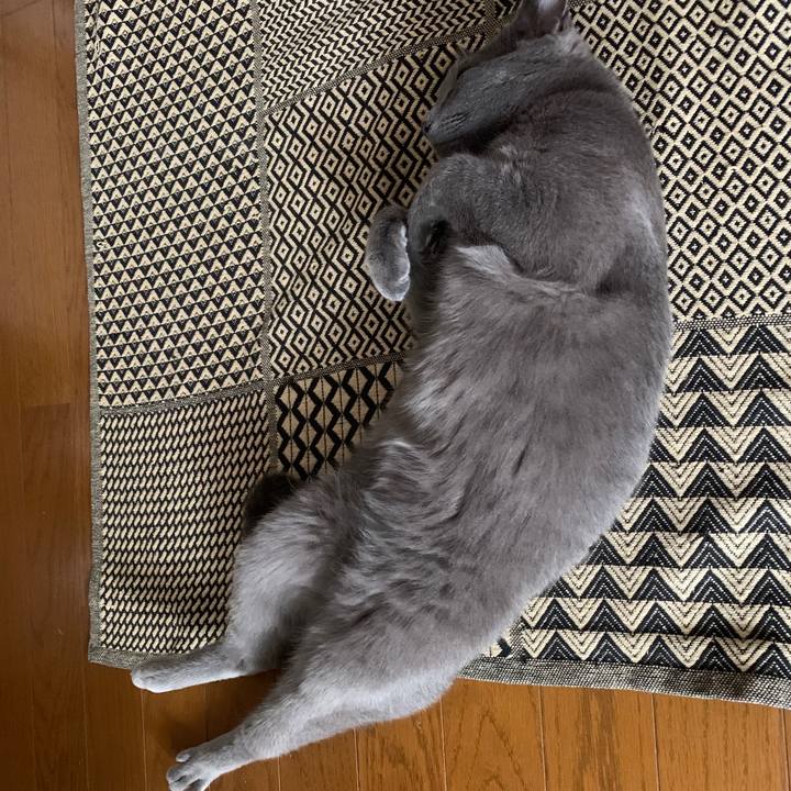 0d2f0003 2597 40b1 9e04 1615e3b4349b 1604009512754