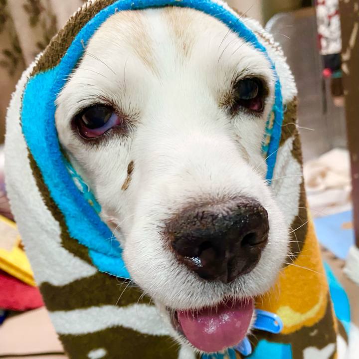 0d2f0257 9269 4c1d 8be8 08efcff299f2 1669693170251