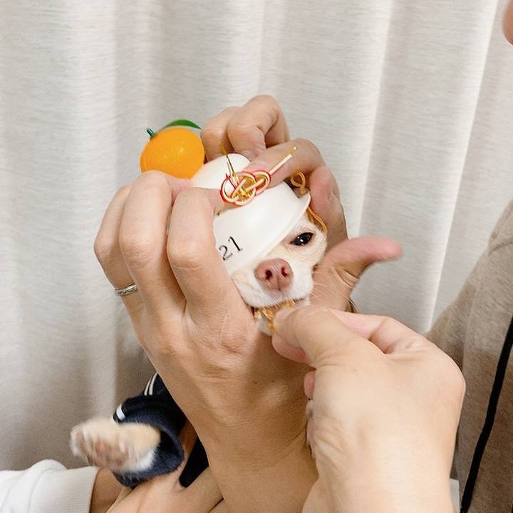 0d2f0f3e bdae 4ec8 bfea bb4c1ff04364 1610426054607