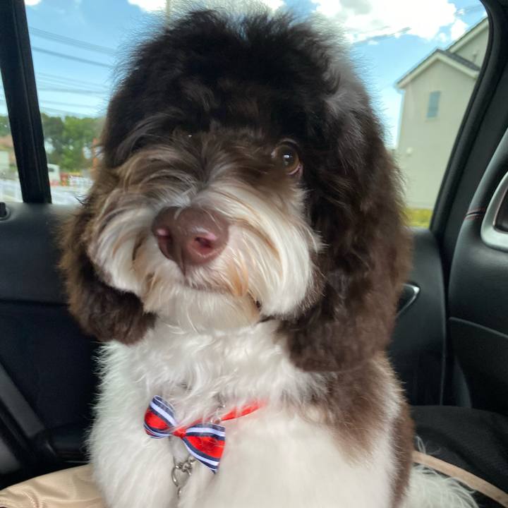 0d2f10a8 f77d 42a0 ac2f a84679ec7379 1618723901978