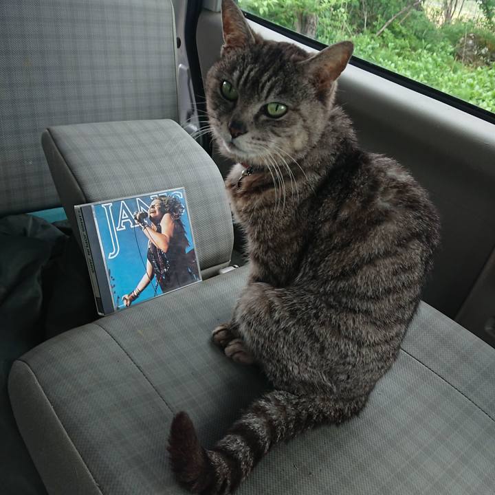 0d2f18e0 e418 4881 91f9 dc80138a6e04 1589091083045