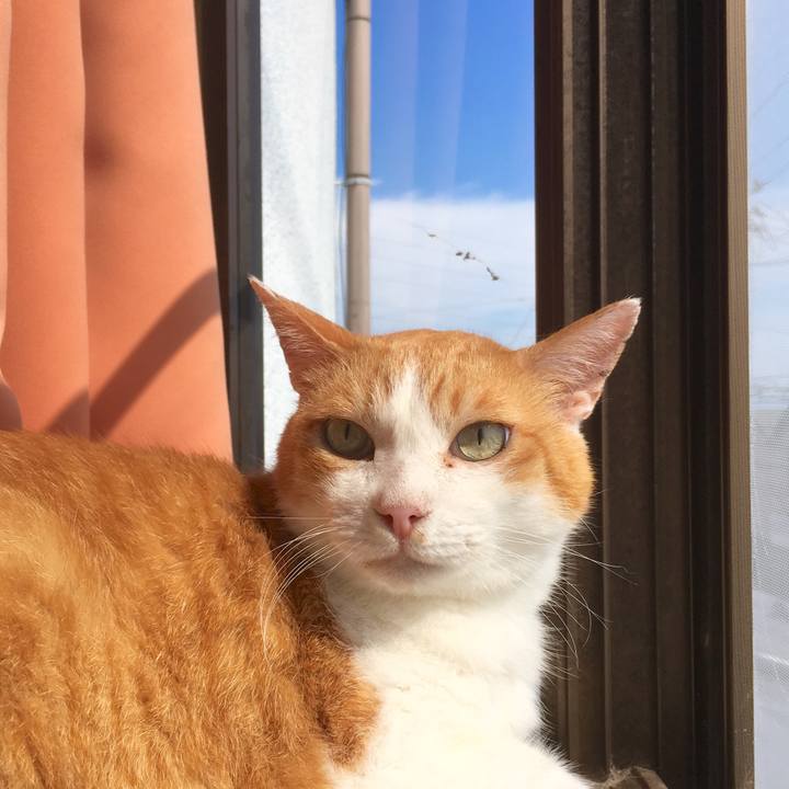 0d2f197c 2dd0 4f9a a3c0 a62f9377fe84 1565419552481