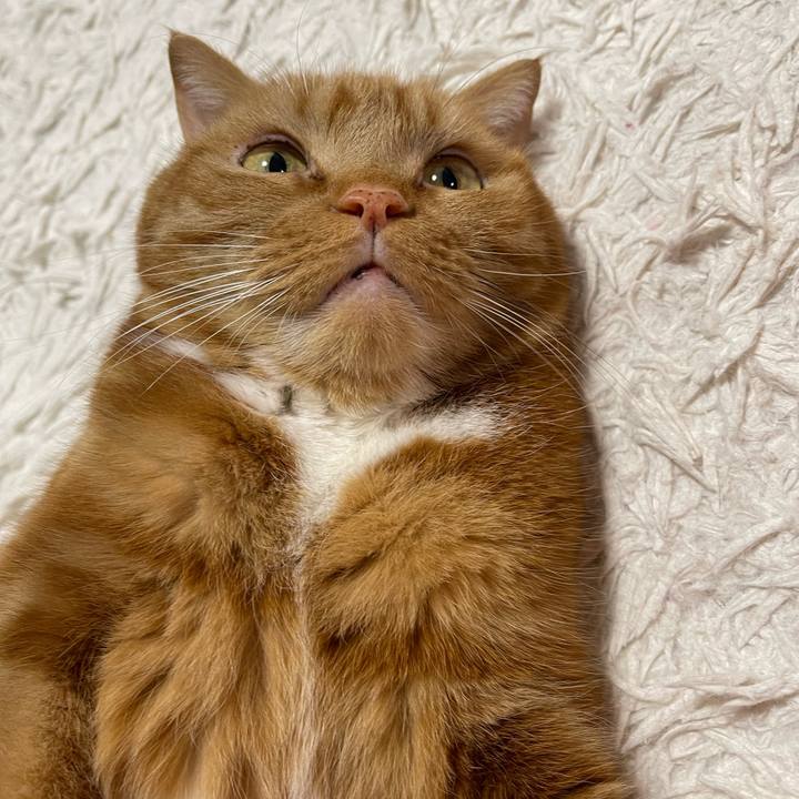 0d2f1f28 f26c 4ded b30f 6cf5e63a88f1 1709819073768