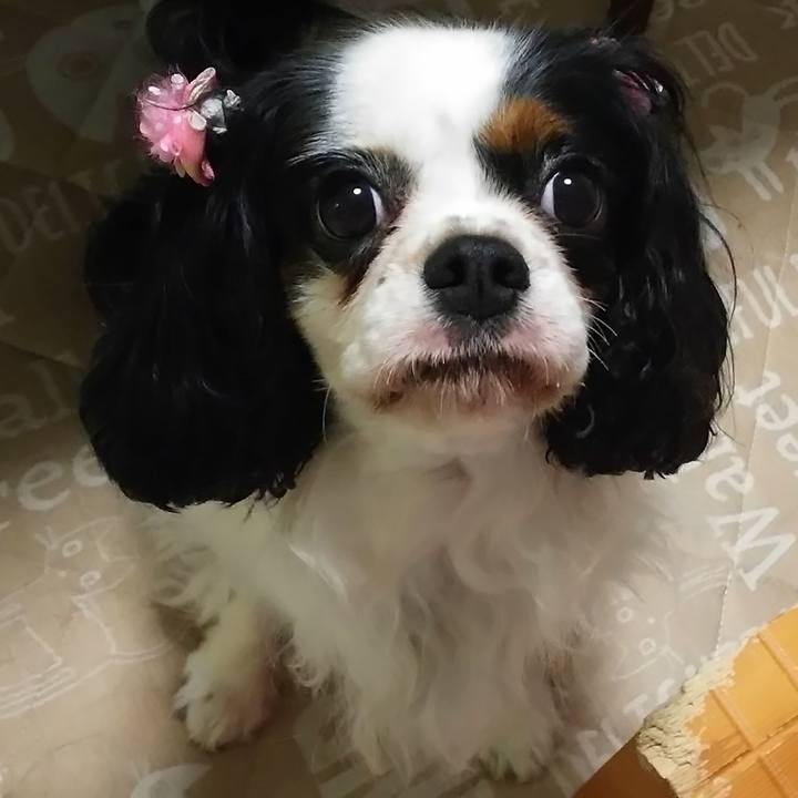 0d2f2fe6 e7bf 4924 b8c5 f53912f956b7 1560819884499