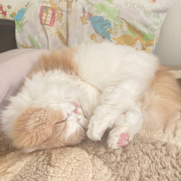 0d2f3a35 1f82 4c52 a25d 063315764c31 1642604807853