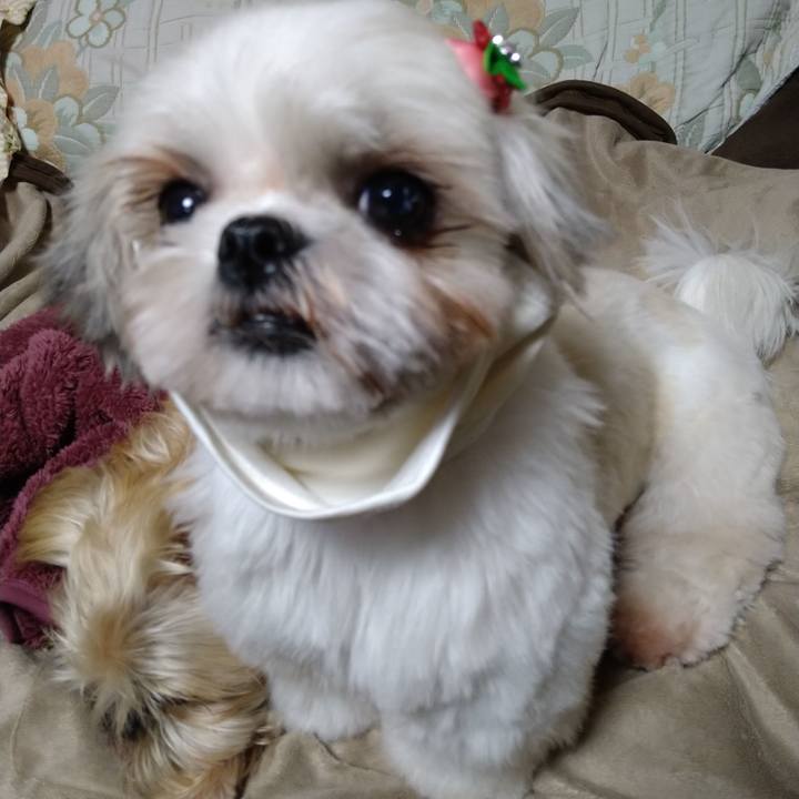 0d2f465b 4544 4c89 9b47 b6b44af180b1 1607915446312