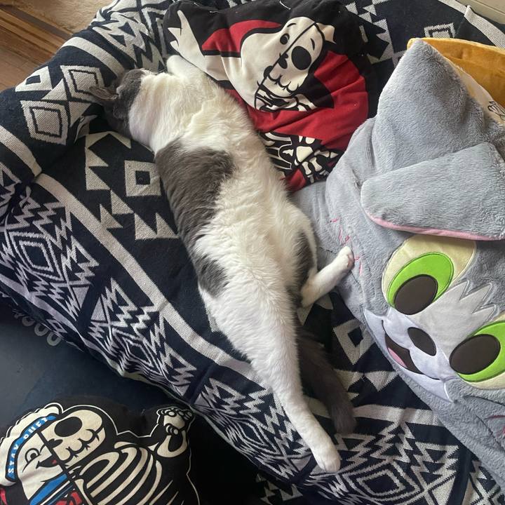 0d2f8d7e 420f 4534 82a1 e405bb095fcf 1722936734462