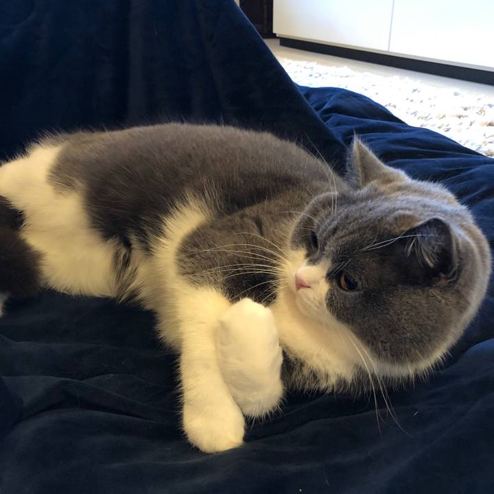 0d2f9584 192f 4b8e 81f1 effb12a59d0e 1548553117616