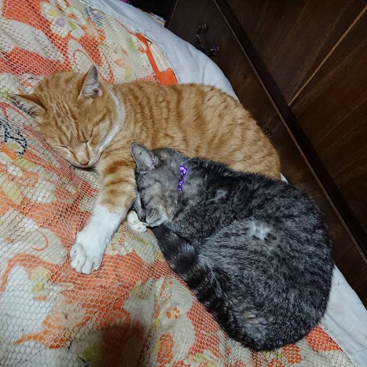 0d2fcf5e 0b3d 4eb7 9c81 f23377fbded0 1577970744338