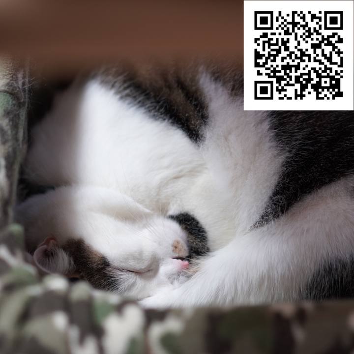 0d2fd0ad 2874 4edf 95b1 98fae0f1b25a 1576731126414