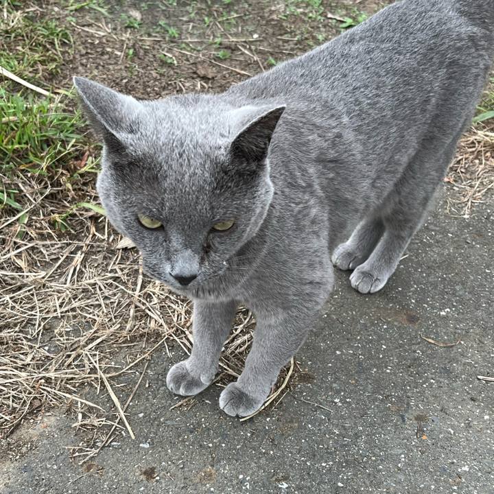 0d2fd608 514c 4a30 94ed ce8183afde45 1760241164619