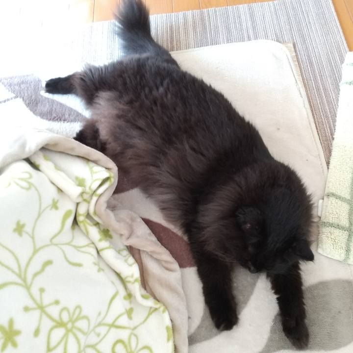 0d2ff280 1f38 4ef4 ae65 2eaa3eee04cf 1603932393686