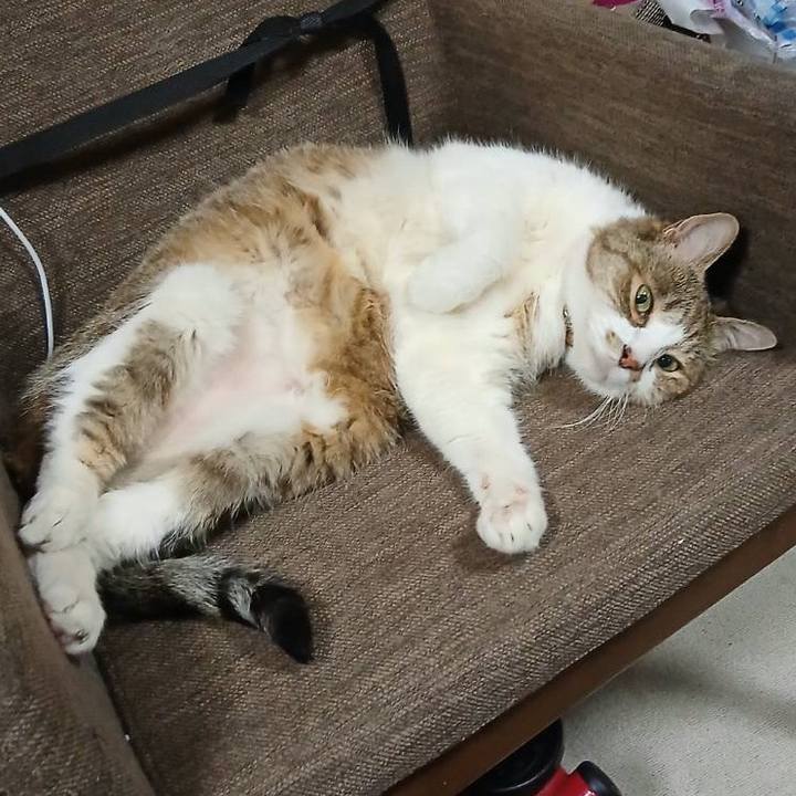 0d2ff807 78a3 4158 9c49 4fa520db30d5 1749049147887