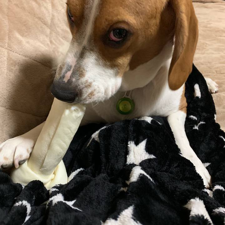 0d2ff8d0 7df7 4cf1 9c68 1dbfe407fd46 1545555115754