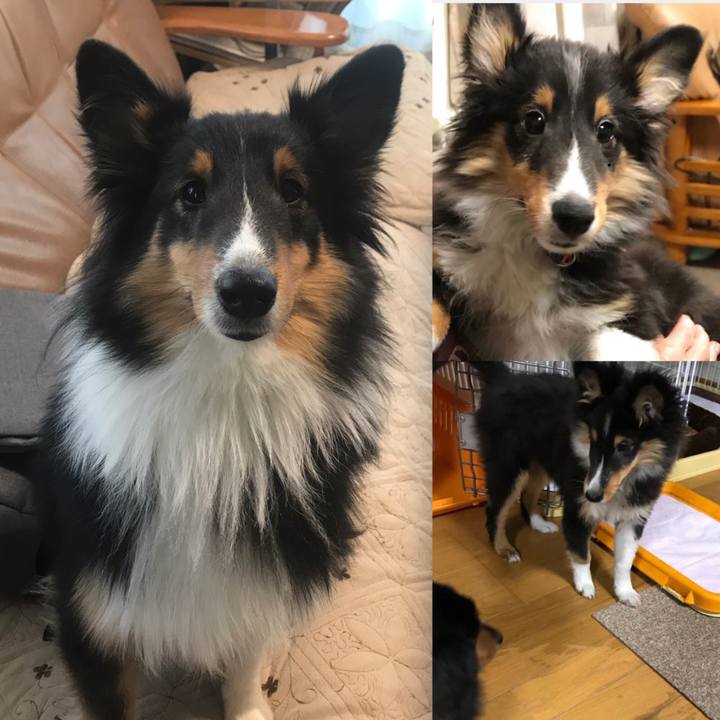 0d302406 6e79 426a 8ba5 6265b6d59e8e 1544308936328