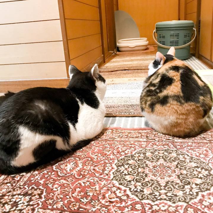 0d302f45 c506 40e0 88e0 a4ecf2a51a5b 1523238820187