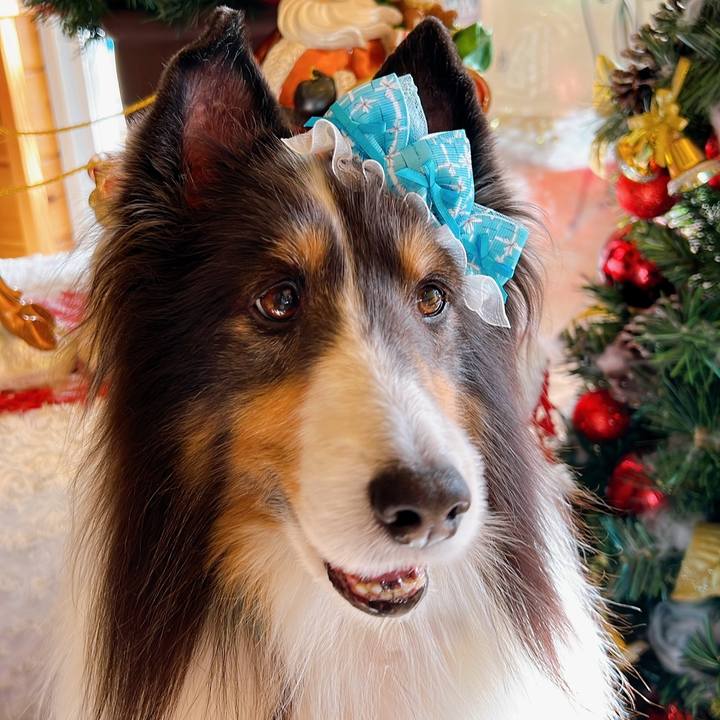 0d30340e 3516 40bd 8a0f fc78cebf885e 1764256406378