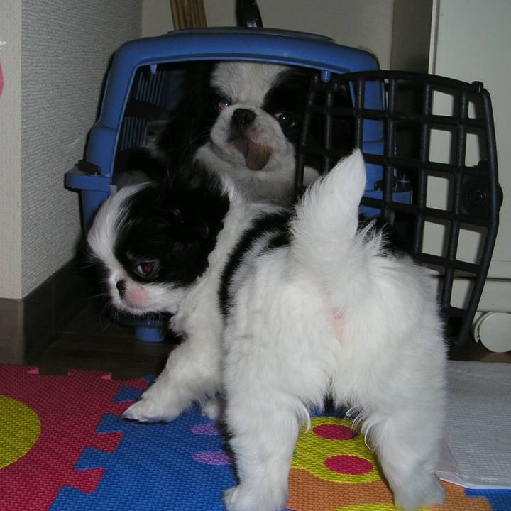 0d30494a 6f97 472f 8463 b4f3ed235eb0 1691964477188