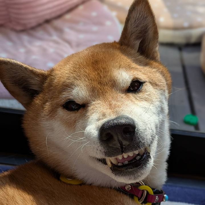 0d305d22 0fdd 4104 8a88 c573caa2fa08 1740370274619