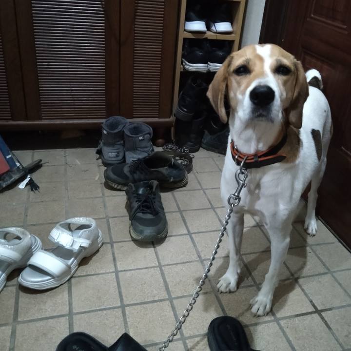 0d306610 6495 4488 8a8b 124df1f445d1 1631185798425