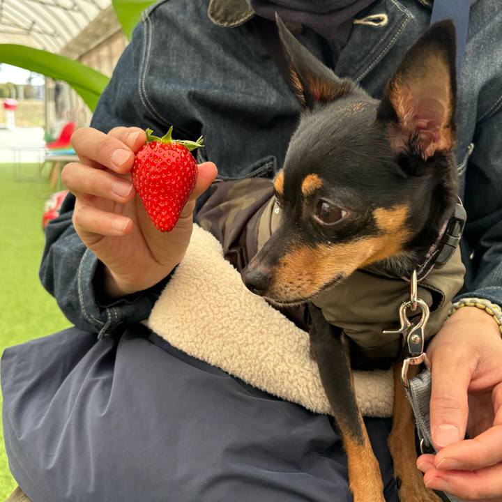 0d306e2d ebdc 400f 98eb c8f745b5c471 1772810623075