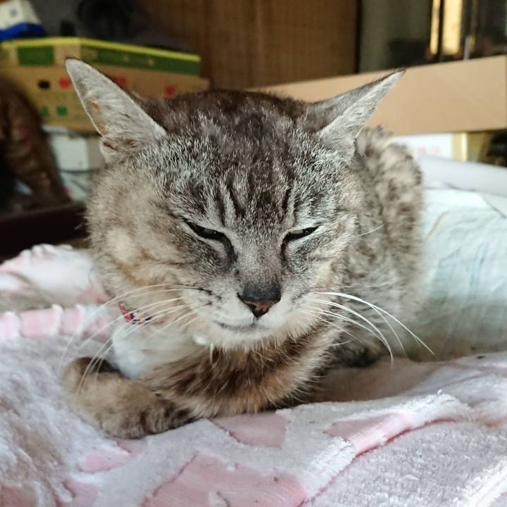 0d30733d 90c0 4fbc b60f 12ccdb523748 1592170772664