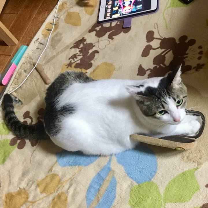 0d30aef6 85a4 4d05 9ee9 89e7194face2 1523522280253