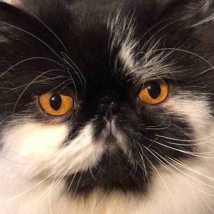 0d30b3c2 3af7 41de 9b74 fe3247f5c9e6 1544858708069