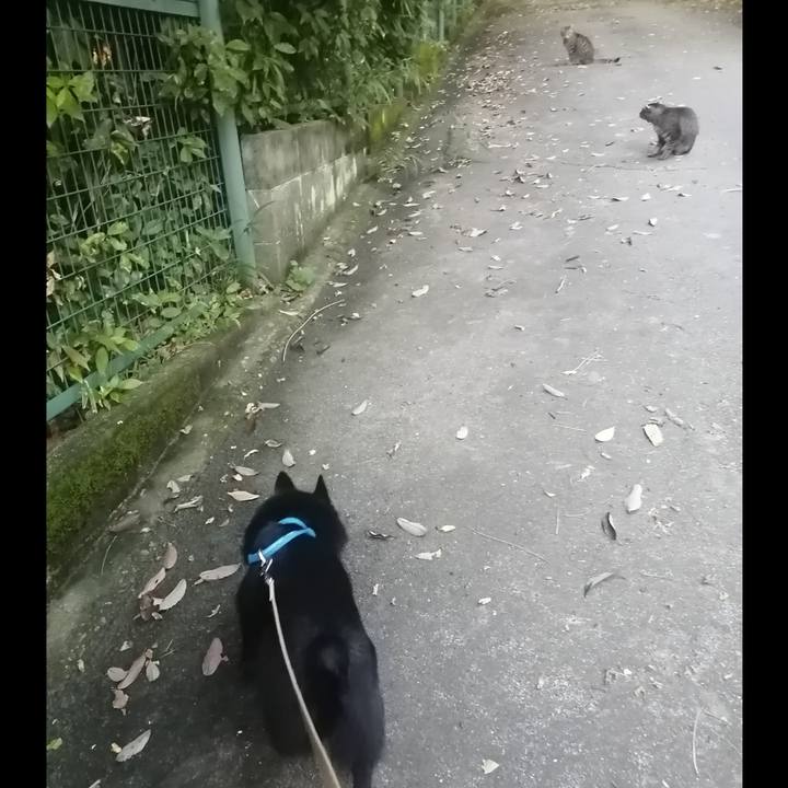 0d30d73c 7383 455a 833a 6d9261114847 1626470515273