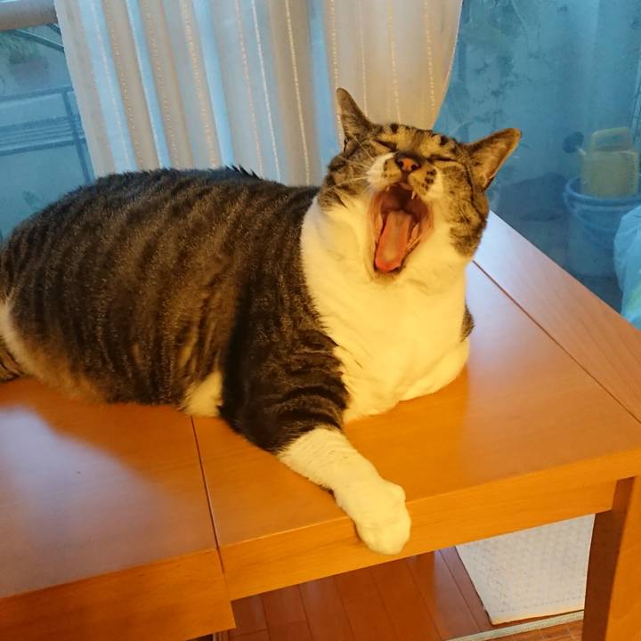 0d30e791 86fa 4883 84c0 b8ba9c319628 1530575240153