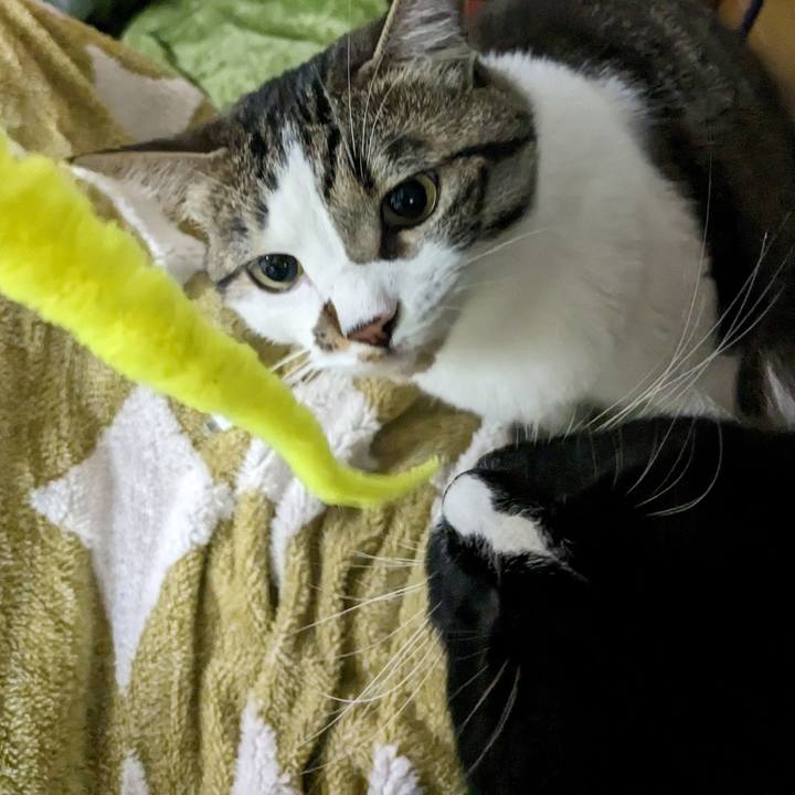 0d30efe8 3d6a 4816 8bc1 35840ff0fc32 1684070186208