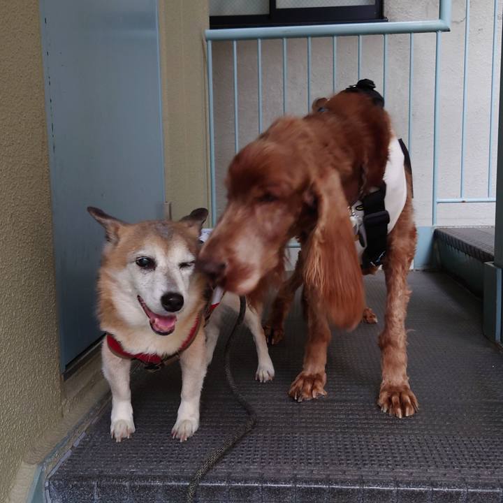 0d312860 9609 4ad6 8ae7 787fa2cd4191 1713610376393