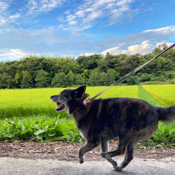 0d313c2f 3a8c 4c9e 96ae 1e62da5d6933 1629451194791