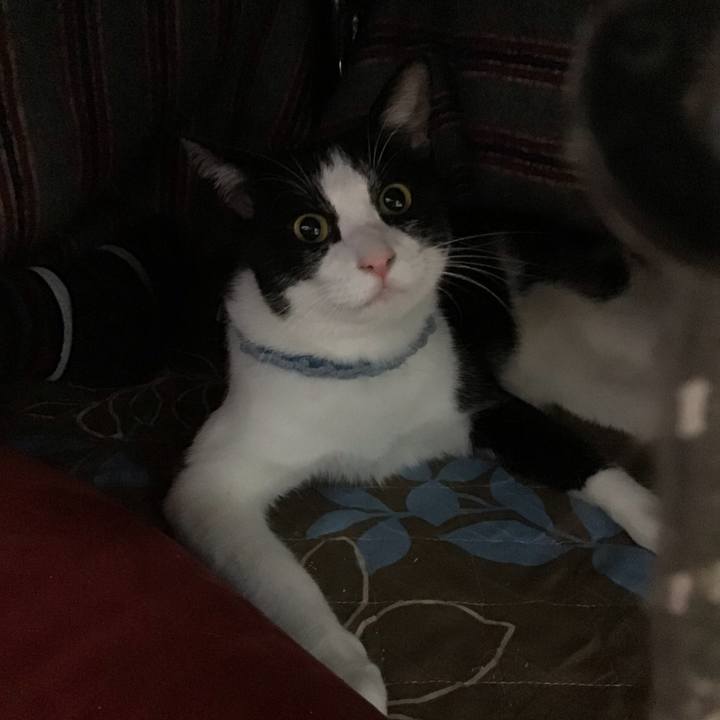 0d3182d4 5faa 481a a515 3f9ae8dd39a2 1665577118569