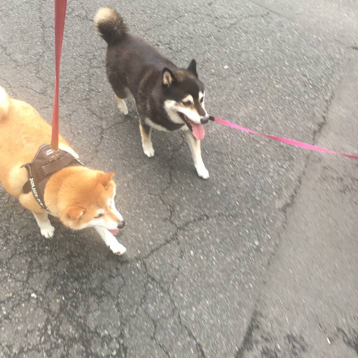 0d318c9e 63ff 434b 99c2 54b5a1979a60 1596163720409