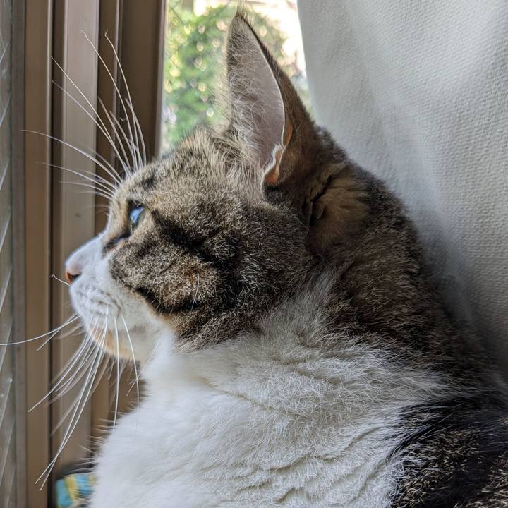 0d31b64e 418c 4151 a12b 337f10f4df27 1688249625124